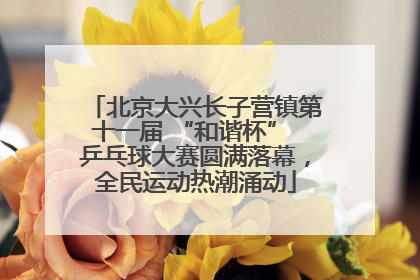 北京大兴长子营镇第十一届 “和谐杯” 乒乓球大赛圆满落幕，全民运动热潮涌动