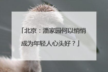 北京：潘家园何以悄悄成为年轻人心头好？