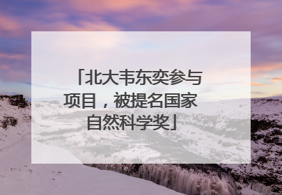 北大韦东奕参与项目，被提名国家自然科学奖