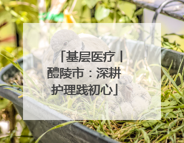 基层医疗丨醴陵市：深耕护理践初心