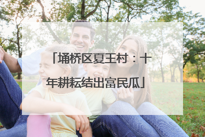 埇桥区夏王村：十年耕耘结出富民瓜