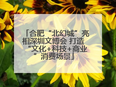 合肥“北幻城”亮相深圳文博会 打造“文化+科技+商业”消费场景