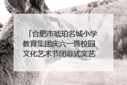 合肥市琥珀名城小学教育集团庆六一暨校园文化艺术节闭幕式文艺汇演圆满举行