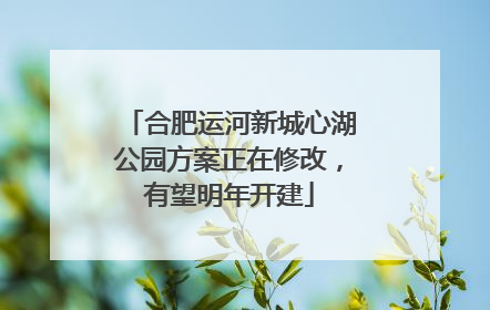 合肥运河新城心湖公园方案正在修改，有望明年开建
