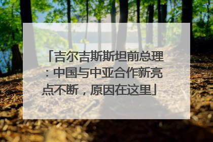吉尔吉斯斯坦前总理：中国与中亚合作新亮点不断，原因在这里