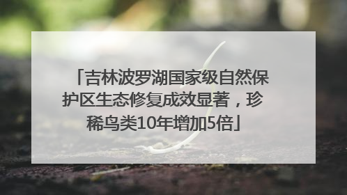 吉林波罗湖国家级自然保护区生态修复成效显著，珍稀鸟类10年增加5倍