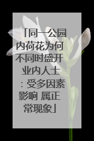 同一公园内荷花为何不同时盛开 业内人士：受多因素影响 属正常现象