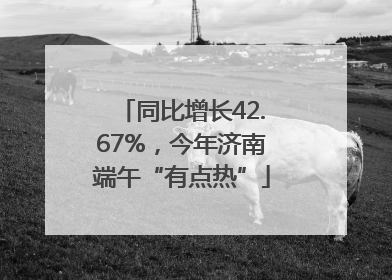同比增长42.67%，今年济南端午“有点热”