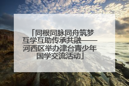 同根同脉同舟筑梦 互学互助传承共融——河西区举办津台青少年国学交流活动