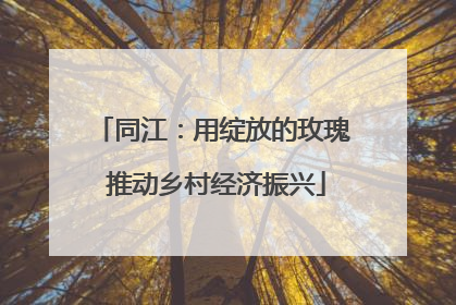 同江：用绽放的玫瑰 推动乡村经济振兴