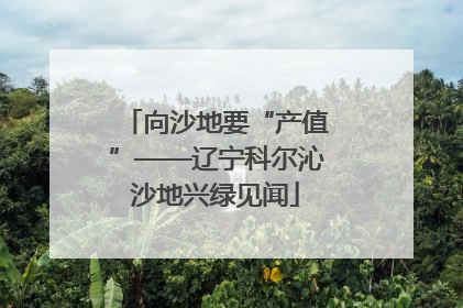 向沙地要“产值”——辽宁科尔沁沙地兴绿见闻