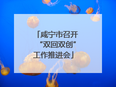 咸宁市召开“双回双创”工作推进会