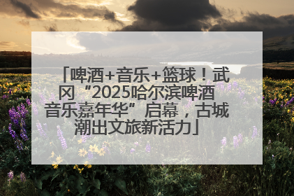 啤酒+音乐+篮球！武冈“2025哈尔滨啤酒音乐嘉年华”启幕，古城潮出文旅新活力