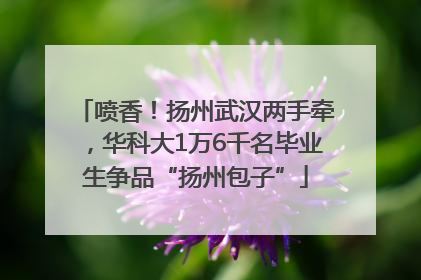 喷香！扬州武汉两手牵，华科大1万6千名毕业生争品“扬州包子”
