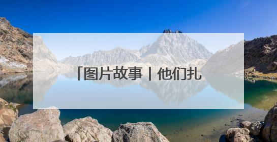 图片故事丨他们扎根深山 只为守护川金丝猴的家园