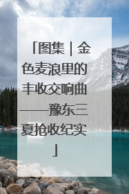 图集｜金色麦浪里的丰收交响曲——豫东三夏抢收纪实