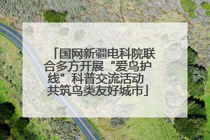 国网新疆电科院联合多方开展“爱鸟护线”科普交流活动 共筑鸟类友好城市