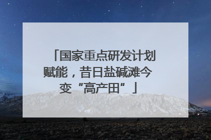 国家重点研发计划赋能，昔日盐碱滩今变“高产田”