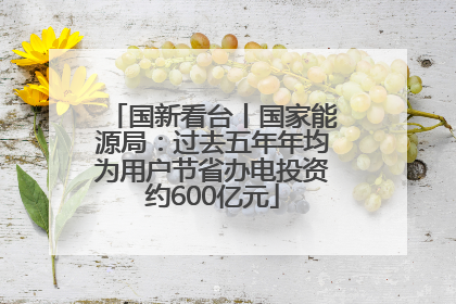 国新看台丨国家能源局：过去五年年均为用户节省办电投资约600亿元