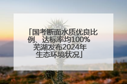 国考断面水质优良比例、达标率均100% 芜湖发布2024年生态环境状况