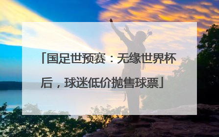 国足世预赛：无缘世界杯后，球迷低价抛售球票
