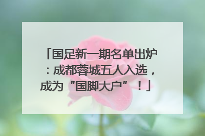国足新一期名单出炉：成都蓉城五人入选，成为“国脚大户”！