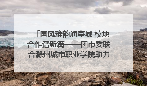 国风雅韵润亭城 校地合作谱新篇——团市委联合滁州城市职业学院助力传统文化“破圈”绽放