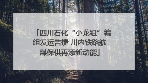 四川石化“小龙组”编组发运告捷 川内铁路航煤保供再添新动能