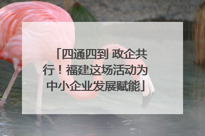 四通四到 政企共行！福建这场活动为中小企业发展赋能