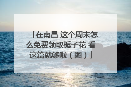 在南昌 这个周末怎么免费领取栀子花 看这篇就够啦（图）