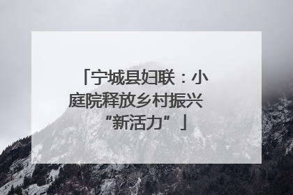 宁城县妇联：小庭院释放乡村振兴“新活力”