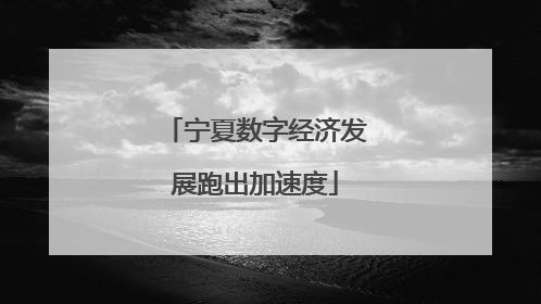 宁夏数字经济发展跑出加速度