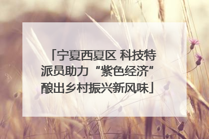 宁夏西夏区 科技特派员助力“紫色经济”酿出乡村振兴新风味