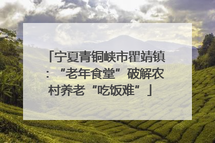 宁夏青铜峡市瞿靖镇：“老年食堂”破解农村养老“吃饭难”