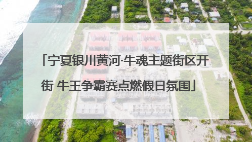 宁夏银川黄河·牛魂主题街区开街 牛王争霸赛点燃假日氛围