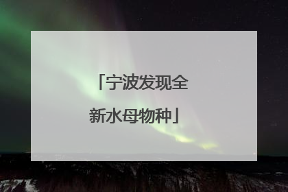 宁波发现全新水母物种