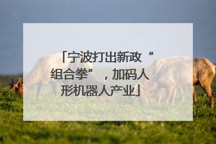 宁波打出新政“组合拳”，加码人形机器人产业
