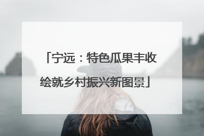 宁远：特色瓜果丰收绘就乡村振兴新图景