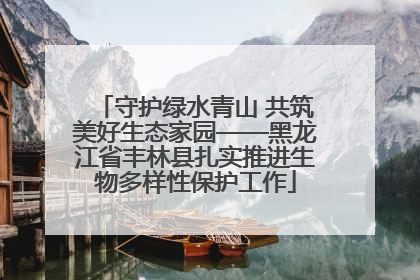 守护绿水青山 共筑美好生态家园——黑龙江省丰林县扎实推进生物多样性保护工作