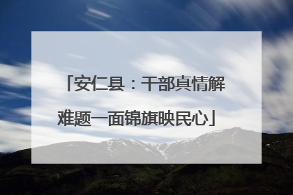 安仁县：干部真情解难题一面锦旗映民心