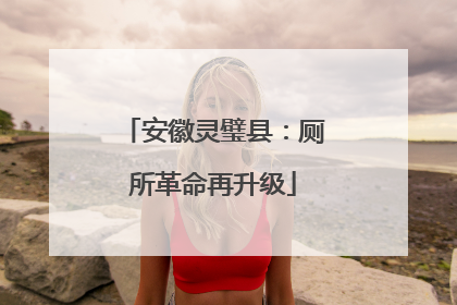 安徽灵璧县：厕所革命再升级
