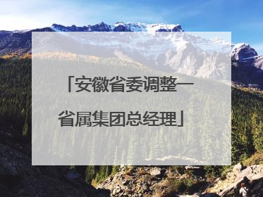 安徽省委调整一省属集团总经理