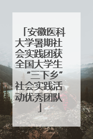 安徽医科大学暑期社会实践团获全国大学生“三下乡”社会实践活动优秀团队