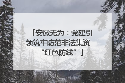 安徽无为：党建引领筑牢防范非法集资“红色防线”