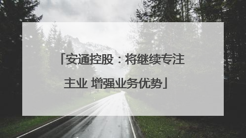 安通控股：将继续专注主业 增强业务优势