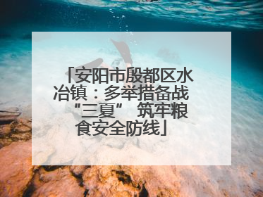 安阳市殷都区水冶镇：多举措备战“三夏” 筑牢粮食安全防线