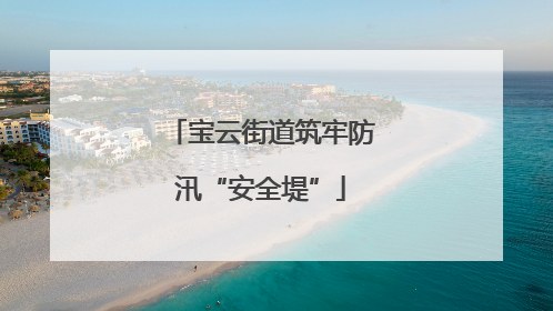 宝云街道筑牢防汛“安全堤”