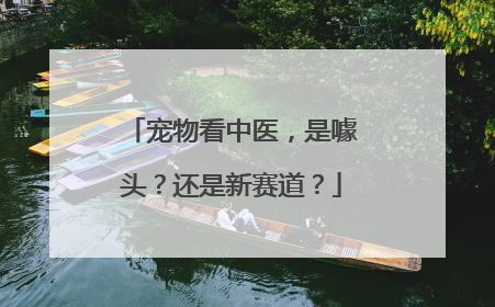 宠物看中医，是噱头？还是新赛道？