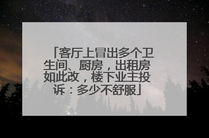 客厅上冒出多个卫生间、厨房，出租房如此改，楼下业主投诉：多少不舒服