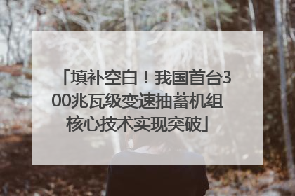 填补空白！我国首台300兆瓦级变速抽蓄机组核心技术实现突破